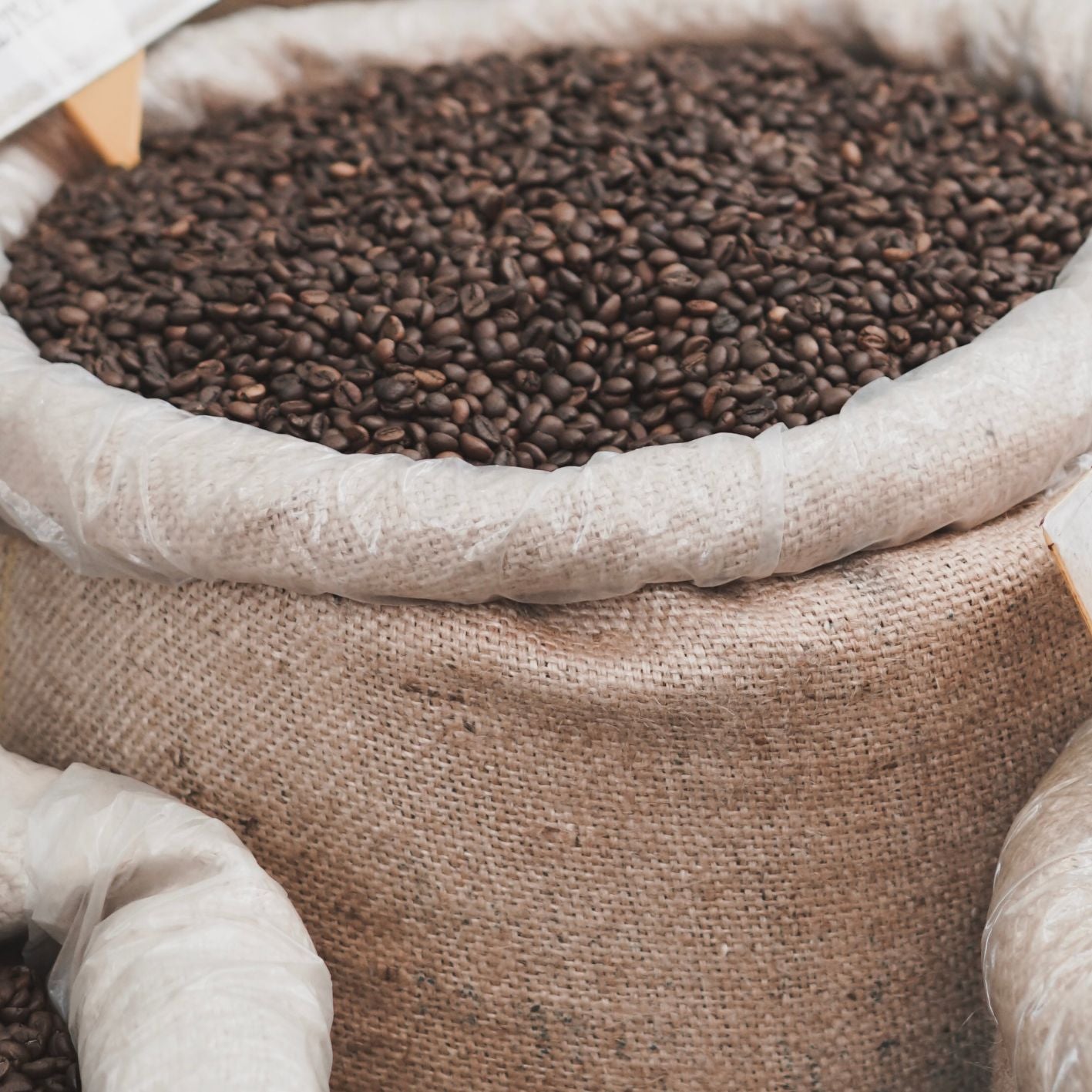 Colombia Dark