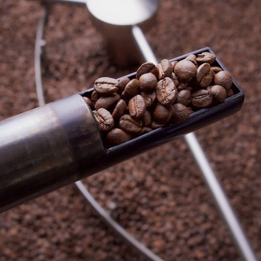 Power dark (House blend)